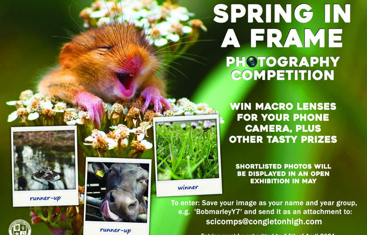 Image of Spring in a Frame Competition is back!