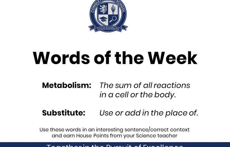Image of Science Words of the Week